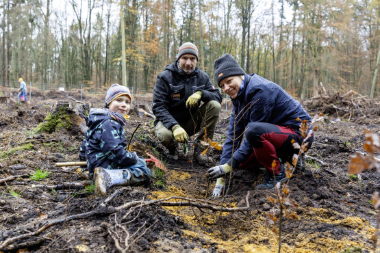 Zwei Eltern pflanzen einen Baum mit ihrem Sohn.