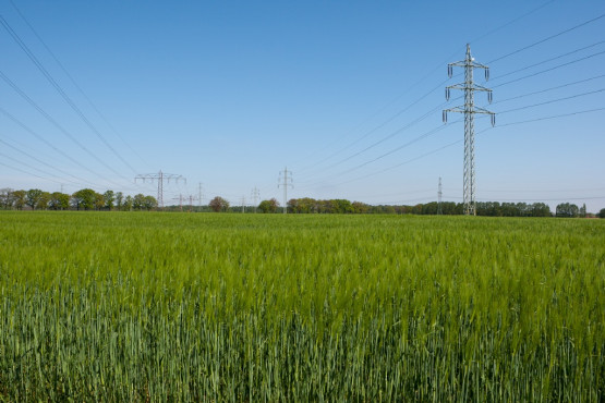 Netzausbau ist eine der dringendsten Herausforderungen für die Politik