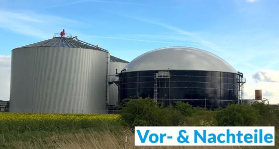 Vor und Nachteile von Biogas