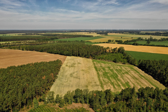 agora natura Lluftaufnahme Volker Gehrmann