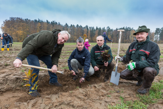 WEMAG Baumpflanzaktion 2019