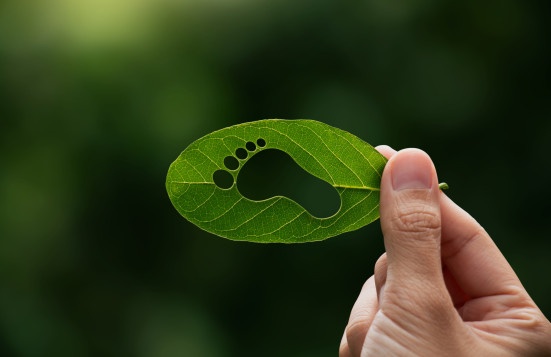 Ein grünes Blatt mit ausgestanztem Fußabdruck symbolisiert den ökologischen Fußabdruck und die Verantwortung des Menschen für den Schutz der Natur.