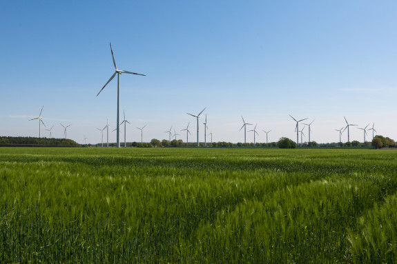 WEMAG nimmt Schlüsselposition bei der Umsetzung der Energiewende in Mecklenburg-Vorpommern ein Alle Zeichen auf Grün!