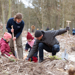 pm_we22_19_etwa_4.300_baeume_fuer_den_wemag-zukunftswald_bei_doemitz_gepflanzt_03_foto_wemag_rudolph-kramer.jpg.jpg pm_we22_19_etwa_4.300_baeume_fuer_den_wemag-zukunftswald_bei_doemitz_gepflanzt_03_foto_wemag_rudolph-kramer.jpg.jpg