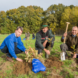 Caspar Baumgart, Peter Rabe und Manfred Baum bei der Baumpflanzaktion 2013