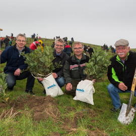 Thomas Pätzold, Dr. Thorsten Permien, Dietmar Beier und Manfred Dutz packen mit an!