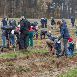 WEMAG/ Stephan Rudolph-Kramer