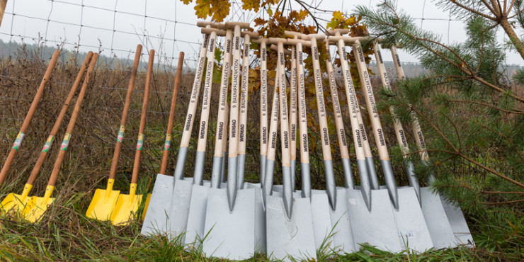 WEMAG Baumpflanzaktion 2019 in der Nähe von Malchow