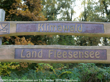 Im Klimawald Land Fleesensee wachsen tausende WEMAG-Bäume WEMAG Klimawald Land Fleesesee