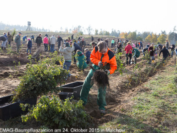 In Malchow wächst der WEMAG Klimawald prächtig. Impressionen der WEMAG Baumpflanzaktion in Malchow