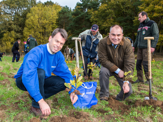 Impressionen der WEMAG Baumpflanzaktionen