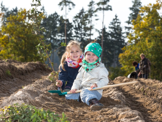 Projekt für Umweltschutz in MV