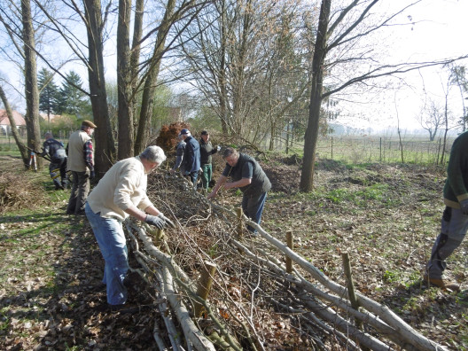 Im Jahr 2019 entstand eine Benjeshecke.